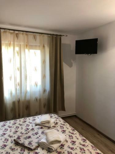 Hostal Casa Doi Stejari
