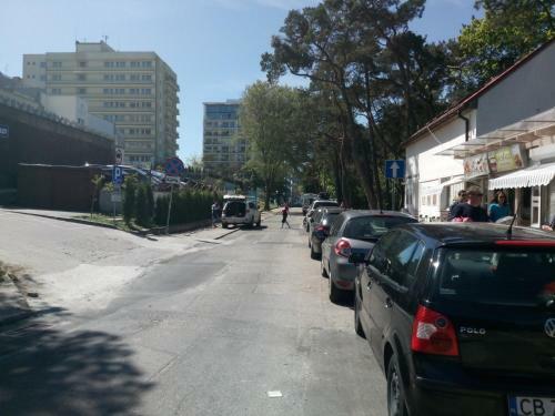 Apartament Slavia Rosa