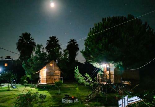 Cuckoo's Nest Tree House
