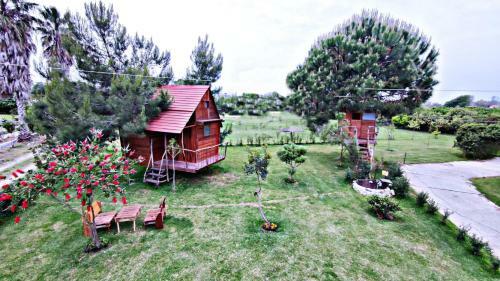 Cuckoo's Nest Tree House