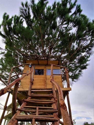 Cuckoo's Nest Tree House