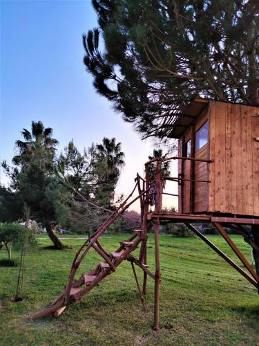Cuckoo's Nest Tree House