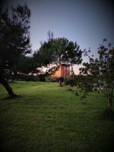 Cuckoo's Nest Tree House