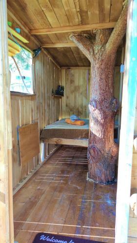 Cuckoo's Nest Tree House