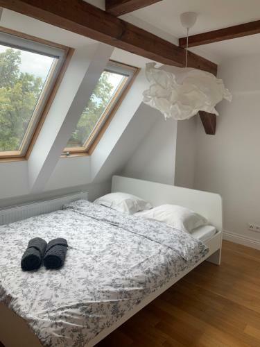 Masurian Apartment