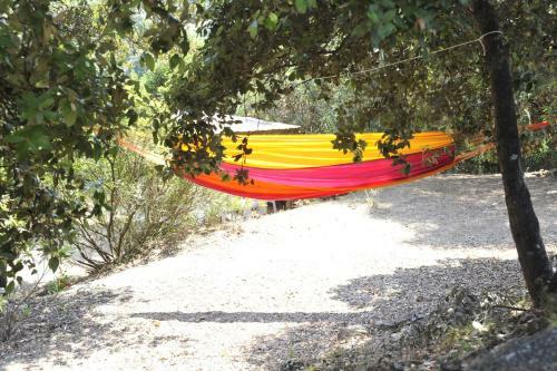 Camping Torraccia