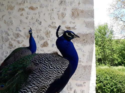 G�te 10 Pers - Rimbes Casteljaloux