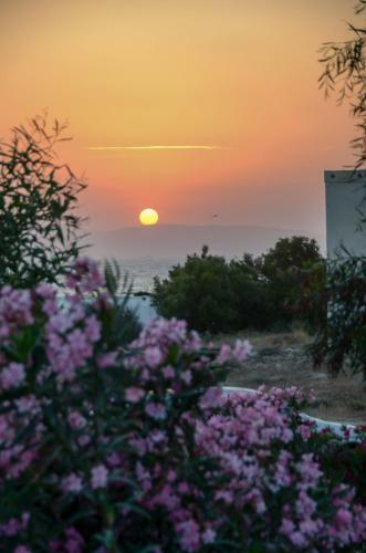 Apartamento Sea & Wind
