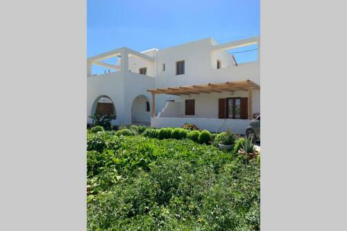 Apartamento Blossom House , Chora Naxos
