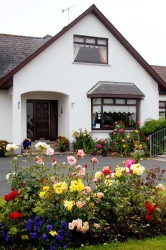Bed & Breakfast Mourneview B & B