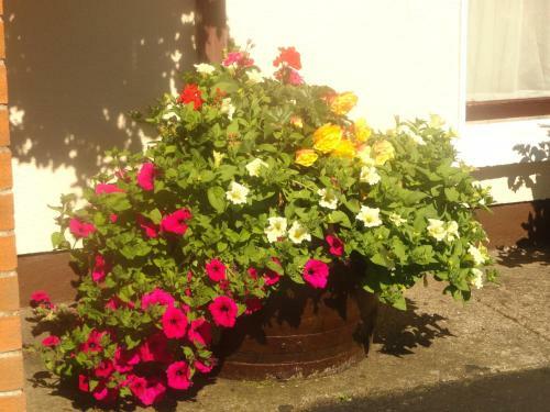 Orley House B&B
