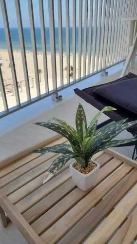 Apartamento Mi Gaviota, Primera L�nea, Vt-49181-v