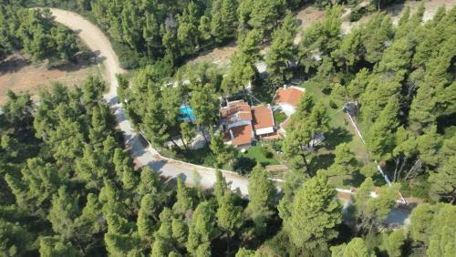 Nirvana House