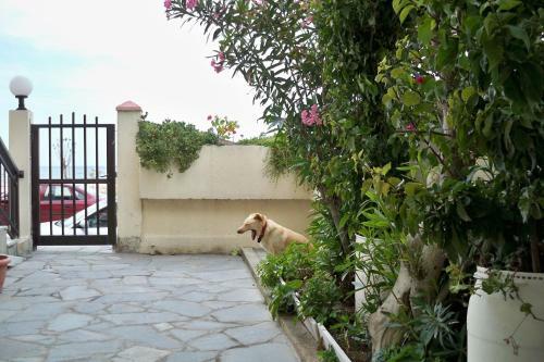 Apartamento 5 Steps 2 Beach Studios
