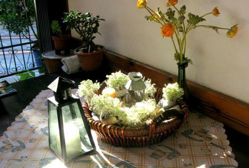 Hotel Apartments Erato