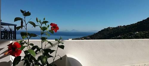 Bed & Breakfast Le Terrazze Di Cic�