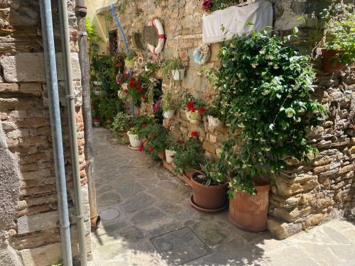 Apartamento Calle Lunga
