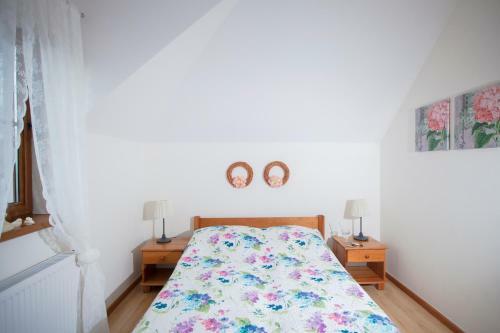 Willa Rogowskich