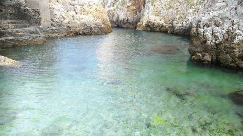 B&B Salento Il Viandante