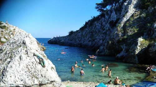 B&B Salento Il Viandante