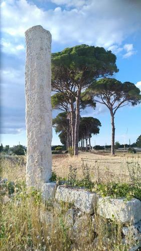 B&B Salento Il Viandante