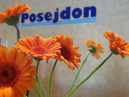 Bed & Breakfast Posejdon