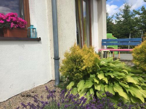 Apartamento Komfortowy Pok�j Domi