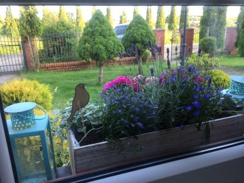 Apartamento Komfortowy Pok�j Domi