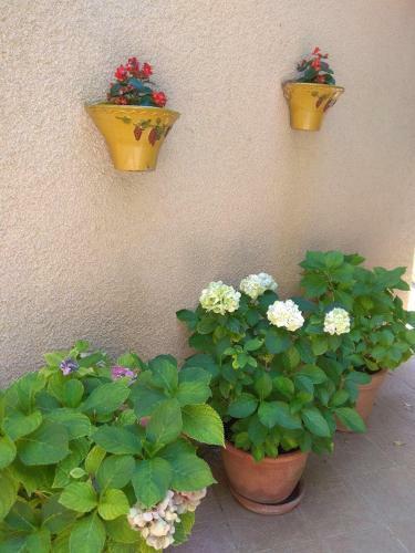 Hostal Les Alicantes