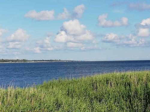 Apartamenty Maciejka