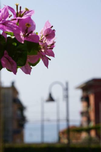 Apartamento Appartamento Le Conchiglie Monterosso Al Mare