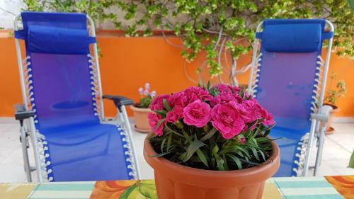 Apartamento Casa Celeste