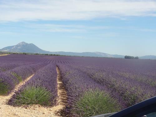 Bed & Breakfast Villa Mistral