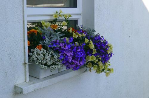 Quay House B&B
