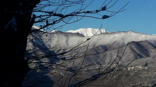 Agroturismo La Casa Nel Bosco-senza Auto