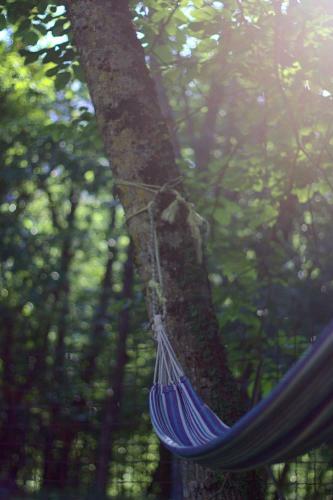 Agroturismo La Casa Nel Bosco-senza Auto