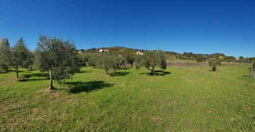 Agroturismo Higuera Santa Ana