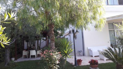 Bed & Breakfast Rosadipepe