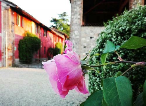 Agroturismo Casarossa