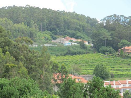 Apartamento Atico Panadeira