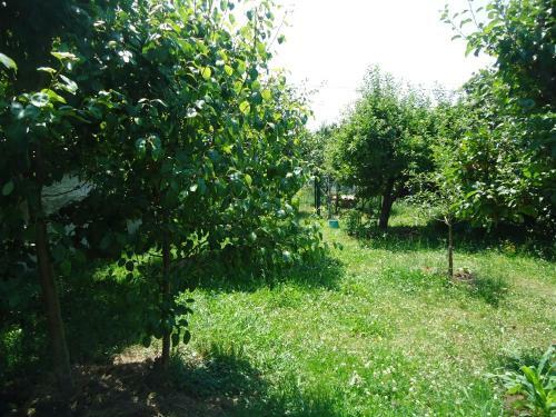 Hostal Monta�es
