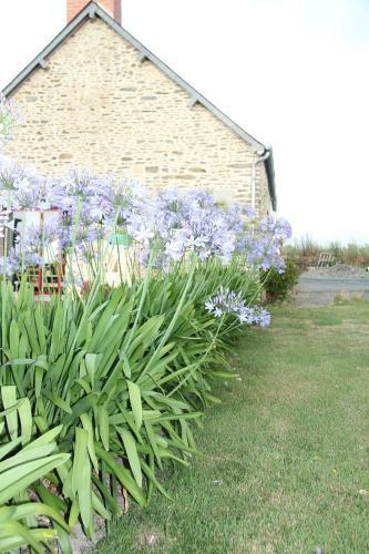 Bed & Breakfast Les Agapanthes