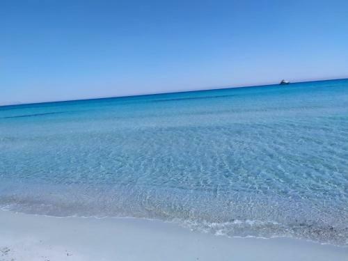 Sole Comino