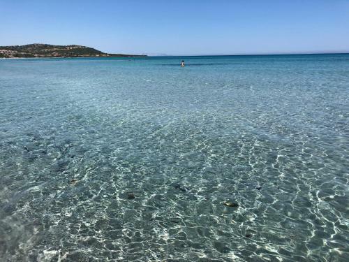 Sole Comino