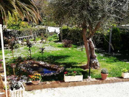 Bed & Breakfast La Ginestra