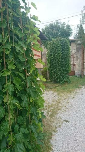 Apartamento Casa Vallecchia
