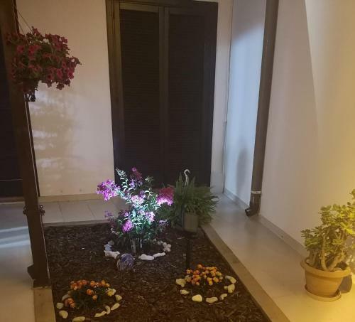 B&B Am�sa