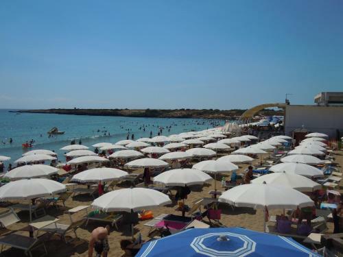 La Nuvoletta