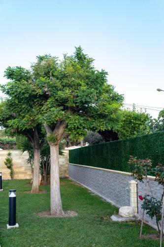 La Nuvoletta
