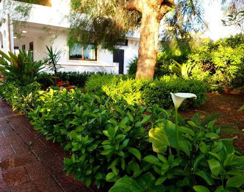 Villa Ninfa Ciane